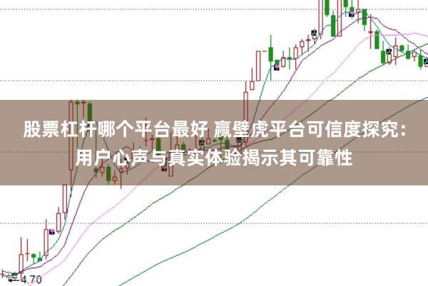 股票杠杆哪个平台最好 赢壁虎平台可信度探究：用户心声与真实体验揭示其可靠性