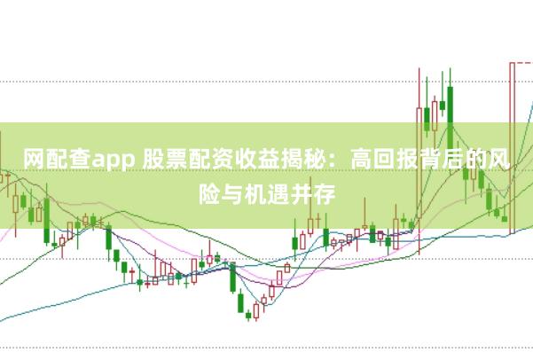 网配查app 股票配资收益揭秘：高回报背后的风险与机遇并存