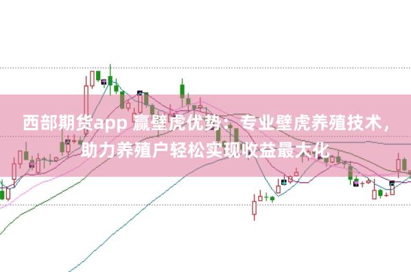 西部期货app 赢壁虎优势：专业壁虎养殖技术，助力养殖户轻松实现收益最大化