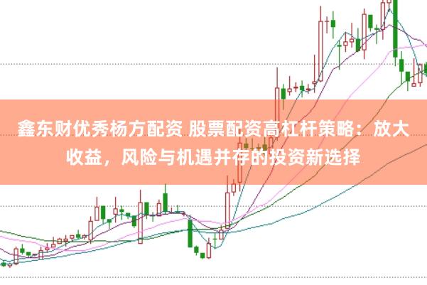 鑫东财优秀杨方配资 股票配资高杠杆策略：放大收益，风险与机遇并存的投资新选择
