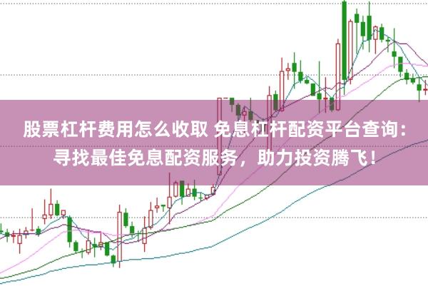 股票杠杆费用怎么收取 免息杠杆配资平台查询：寻找最佳免息配资服务，助力投资腾飞！
