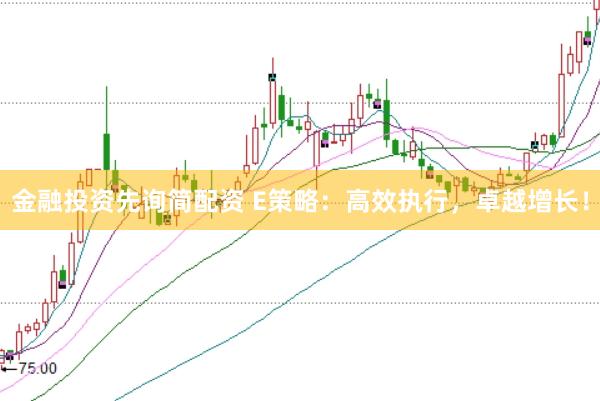金融投资先询简配资 E策略：高效执行，卓越增长！
