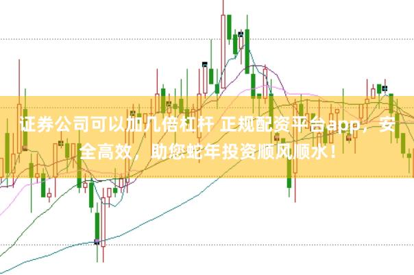 证券公司可以加几倍杠杆 正规配资平台app，安全高效，助您蛇年投资顺风顺水！