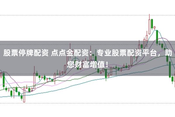 股票停牌配资 点点金配资：专业股票配资平台，助您财富增值！