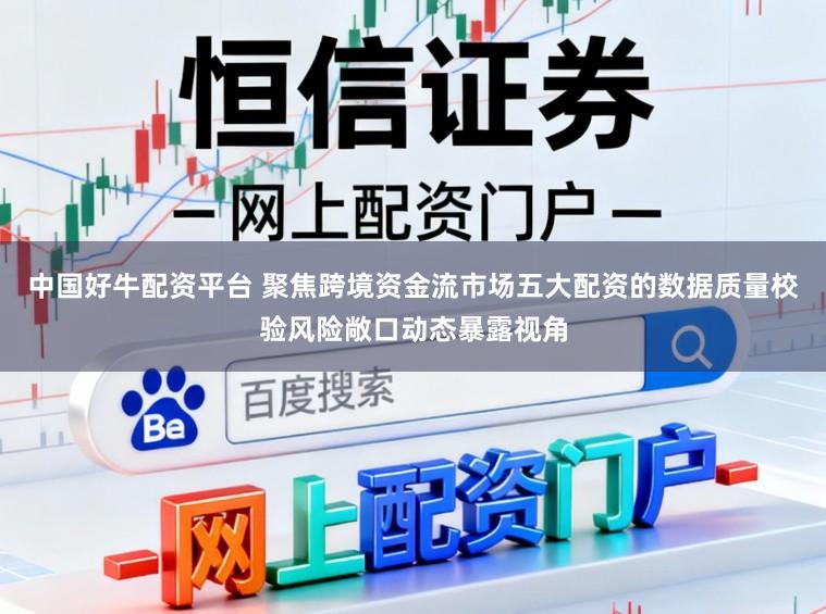 中国好牛配资平台 聚焦跨境资金流市场五大配资的数据质量校验风险敞口动态暴露视角