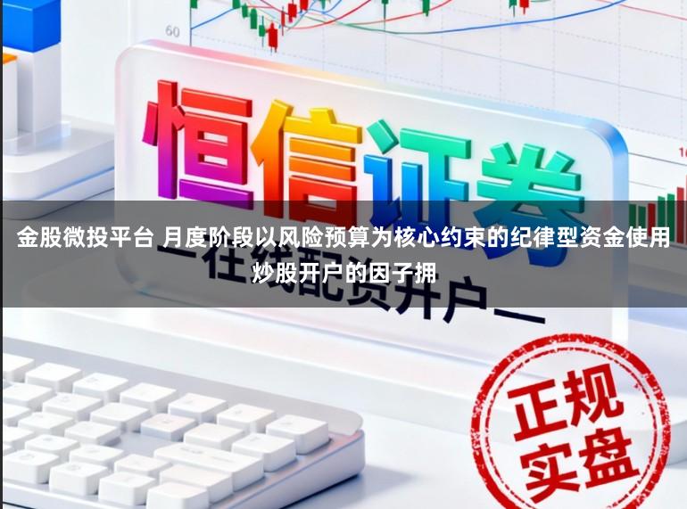 金股微投平台 月度阶段以风险预算为核心约束的纪律型资金使用炒股开户的因子拥